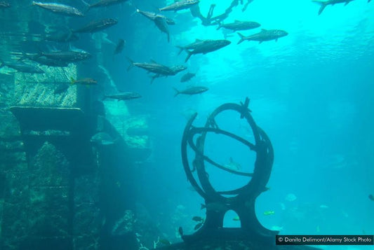 Atlantis Tarzı Efsanelerin Bazıları Gerçekten Yaşandı