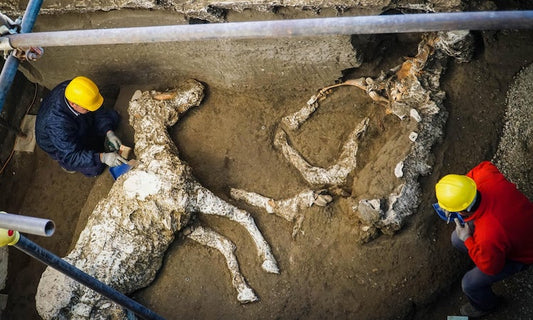 Pompeii’deki Ahırda Atlar Bulundu