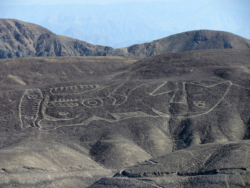 Peru’da 2000 Yıllık Katil Balina Jeoglifi Bulundu