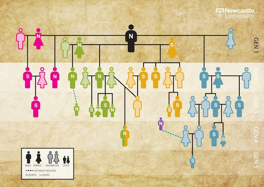 Antik DNA, Bilinen En Eski Aile Soy Ağacını Ortaya Koydu