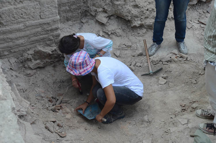 Bathonea Kazılarında 1400 Yıllık Depresyon ve Kalp İlacı Bulundu