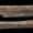 Bu Oyulmuş Ayı Kemiği, Neandertal Kültürünün En Eski Örneği