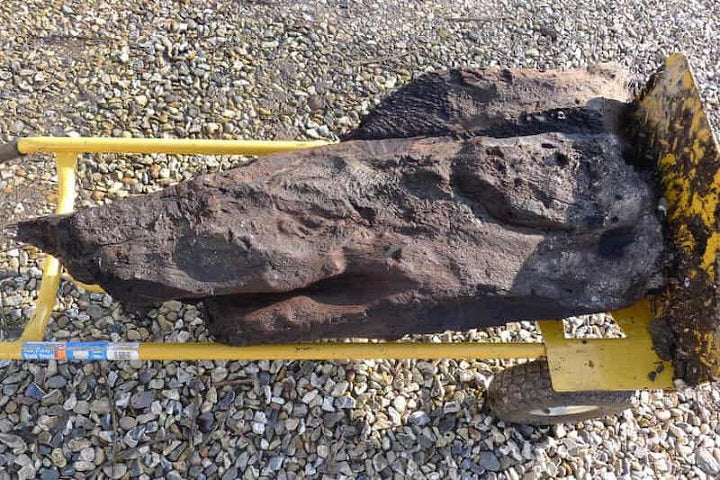 İngiltere’de 6.000 Yıllık Oyulmuş Ahşap Parçası Bulundu