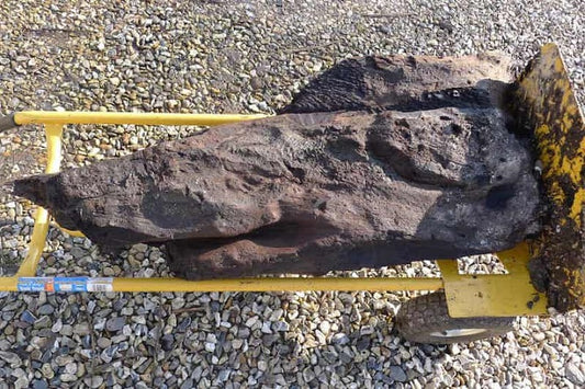 İngiltere’de 6.000 Yıllık Oyulmuş Ahşap Parçası Bulundu