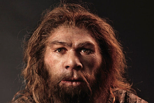 Neandertallerin Kuş Avlama Teknikleri Canlandırıldı