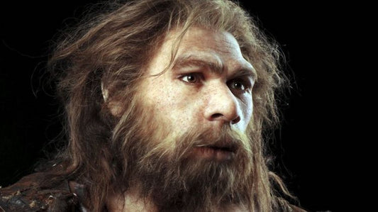 Soğuk Bölgelerdeki Neandertaller Bitki de Yiyordu