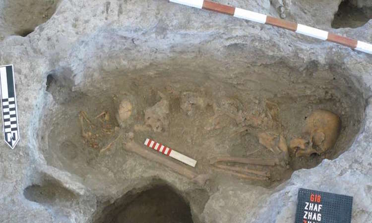 DNA Sayesinde Avrupa’nın İlk Tarımcılarının İzi Anadolu’ya Sürüldü