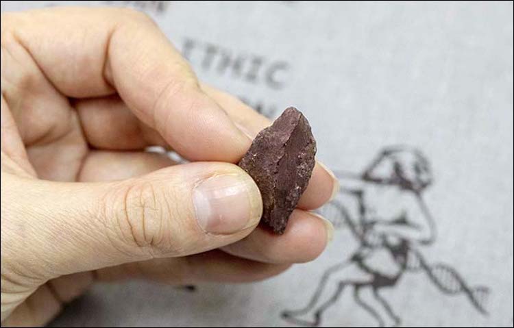 Denisova Mağarasında 50.000 Yıllık Boya Kalemi