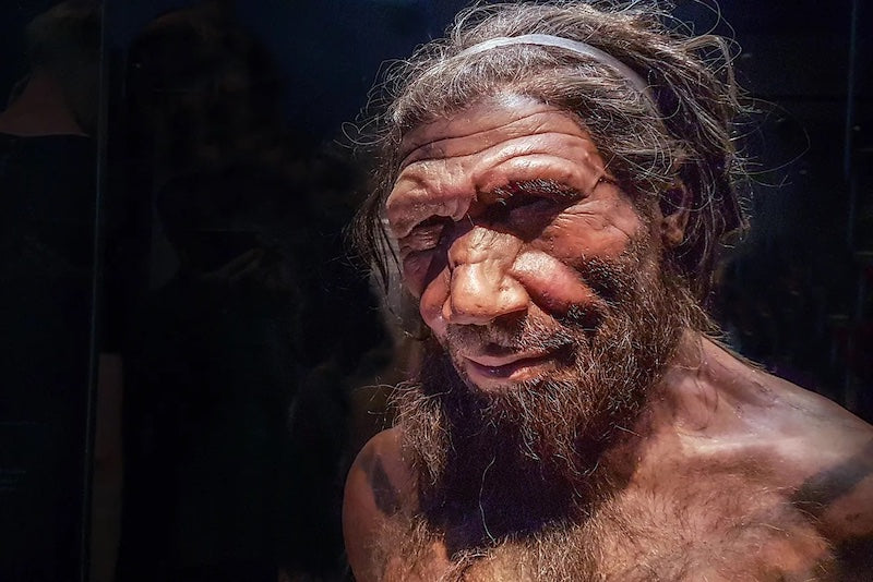 Neandertallerle Seks Hakkında Neler Biliyoruz?