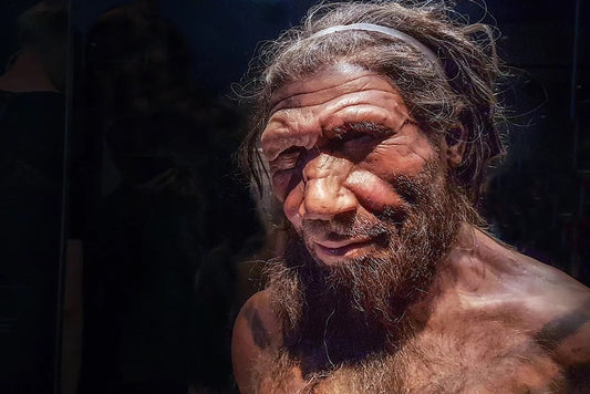Neandertallerle Seks Hakkında Neler Biliyoruz?