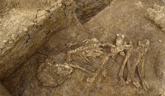 Britanyalılar Bronz Çağı’nda Ölülerini Mumyalıyordu