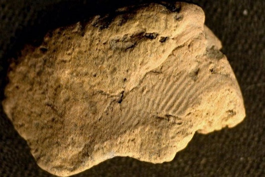 Orkney’de 5.000 yıl Öncesine Ait Parmak İzi Bulundu