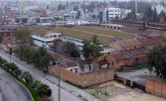 Adana’da İncil’i Konu Alan Mozaik Bulundu