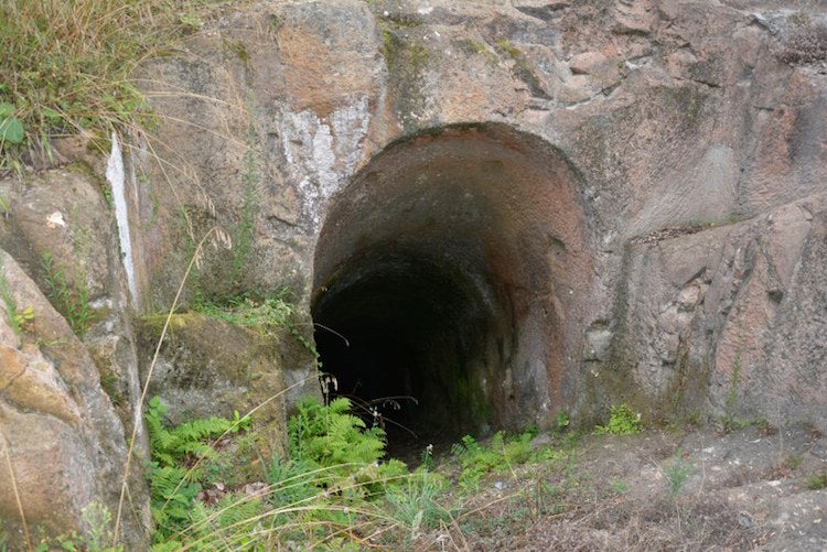 Ordu’da Cıngırt Mağarası Kazıları Yeniden Başlıyor