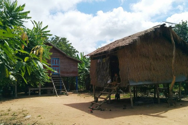 Arkeologlar Antik Angkor Bölgesinin Nüfusunu Tespit Etti