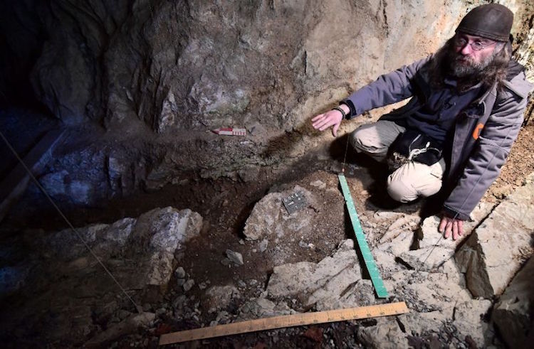 Belçika’daki Neandertaller Yamyamlık Yapıyordu