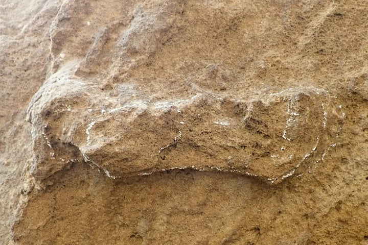 Güney Afrika’da 153.000 Yıllık Homo sapiens Ayak İzleri