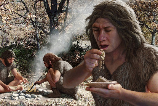 Karbonhidrat Tüketimi, Neandertallerin Beyinlerini Büyüttü