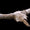 Neandertaller Mağarada Hayvan Kafatasları Sergilemiş