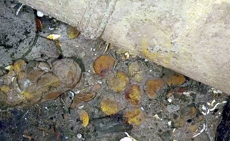 Kolombiya, Tonlarca Altın Yüklü Batığın Görüntülerini Paylaştı