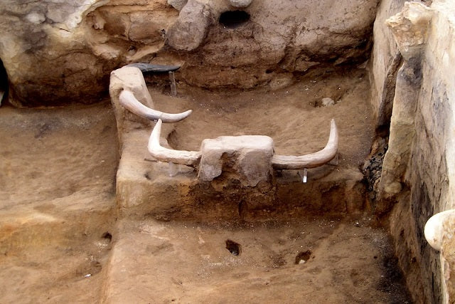 Çatalhöyük’te Şaşırtıcı Derecede Az İnsan Yaşıyordu