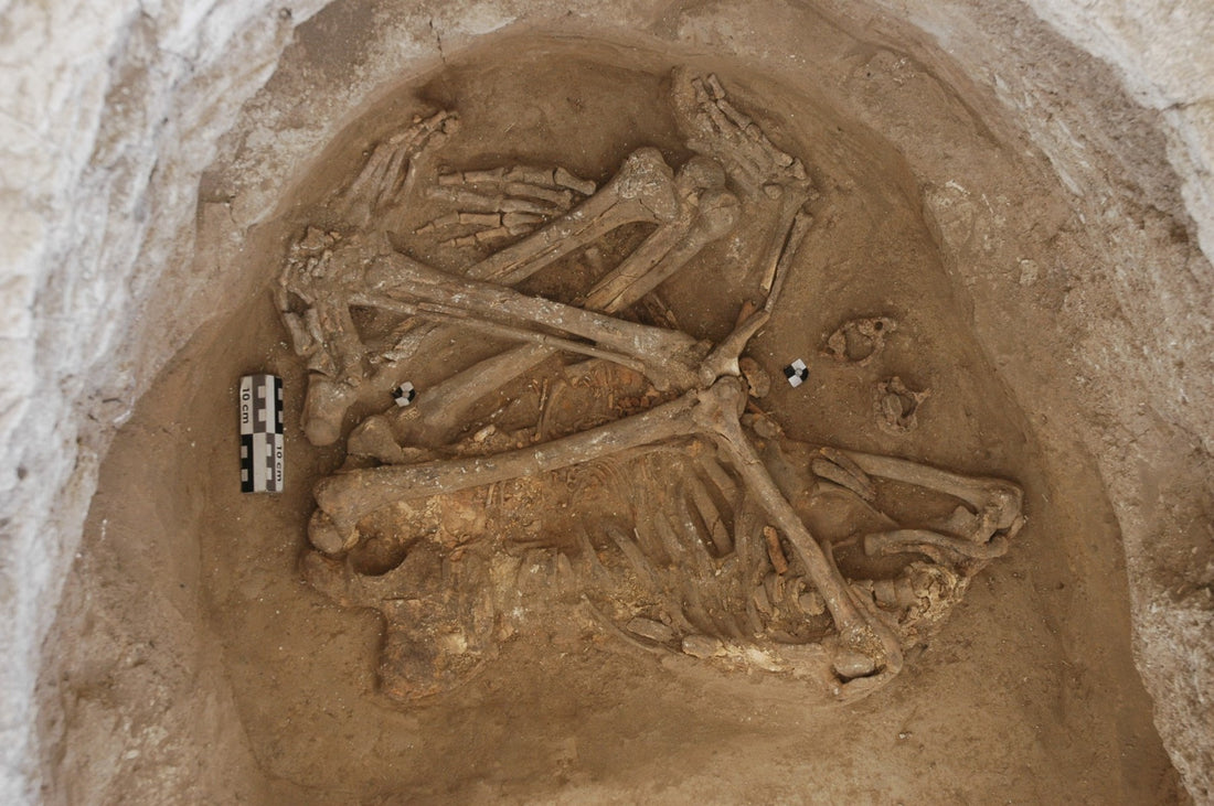 Çatalhöyük’te Ölüler Akbabaların Yemesi için Çatılara Konmuş Olabilir