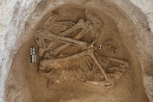 Çatalhöyük’te Ölüler Akbabaların Yemesi için Çatılara Konmuş Olabilir