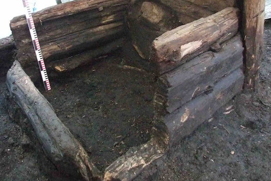 DNA, Orta Çağ’daki Bağırsak Sağlığına Işık Tutuyor