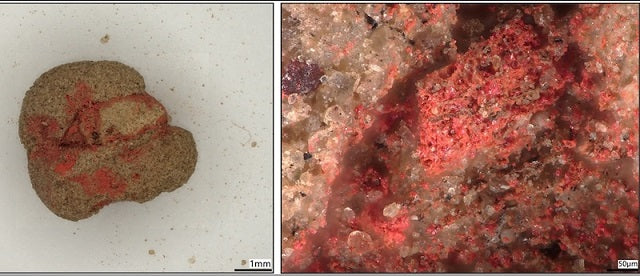 2.000 Yıllık İskit Mezarında Zehirli Pigment Bulundu