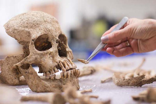 Prehistorik Toplumlarda Toplumsal Cinsiyet Çıkarımları Nasıl Yapılır?