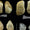 Neandertaller İklim Değişikliğine Nasıl Uyum Sağladı?