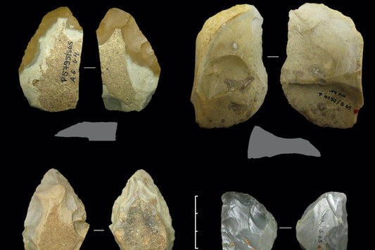 Neandertaller İklim Değişikliğine Nasıl Uyum Sağladı?