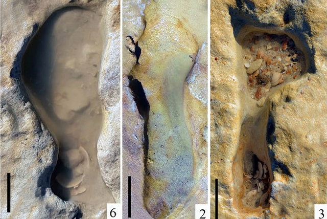 Neandertal Ayak İzleri, Kumda Oynayan Çocukları Gösteriyor