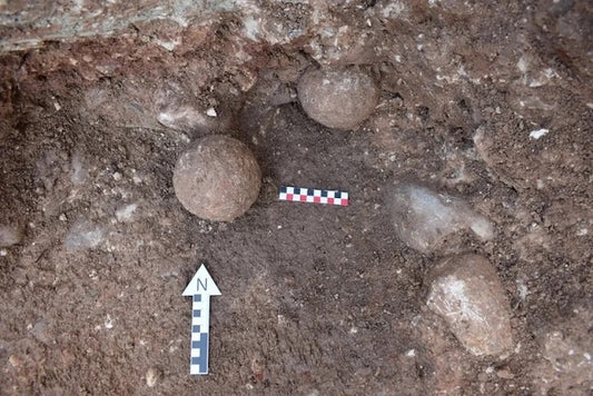 İspanya’da Hannibal’ın Savaş Fillerinden Biri Bulunmuş Olabilir