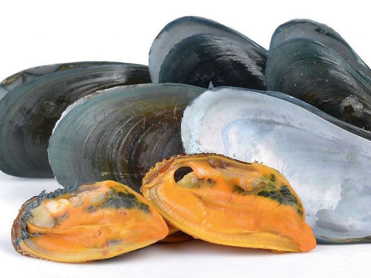 Nos ancêtres mangeaient-ils des fruits de mer ?
