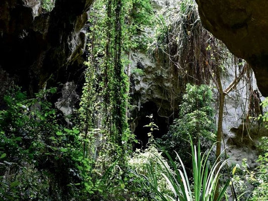 Homo sapiens vivait-il vraiment dans des grottes ?