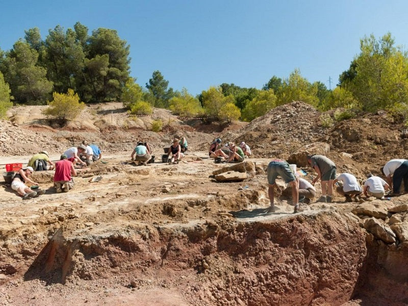 Le Titan des garrigues, un nouveau dinosaure découvert en France