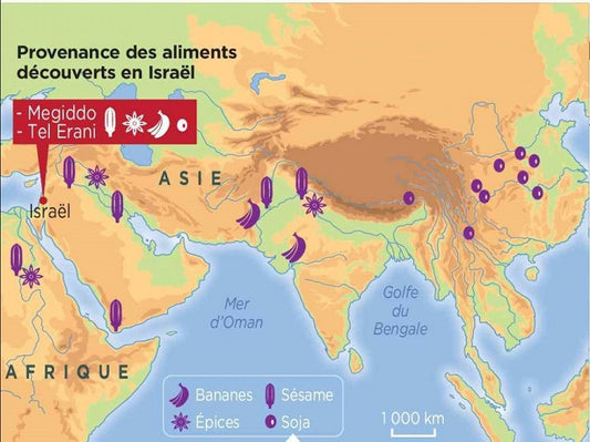 Les Philistins s'approvisionnaient en Asie du Sud