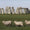 Des reliques plurimillénaires découvertes sur le site du futur tunnel de Stonehenge