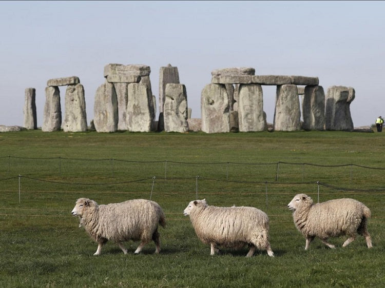 Des reliques plurimillénaires découvertes sur le site du futur tunnel de Stonehenge