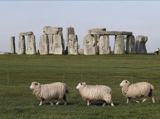 Des reliques plurimillénaires découvertes sur le site du futur tunnel de Stonehenge