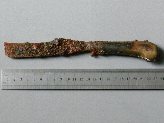 “Dans l’histoire de l’archéologie sous-marine, les cas où on a trouvé des squelettes complets sont très rares”
