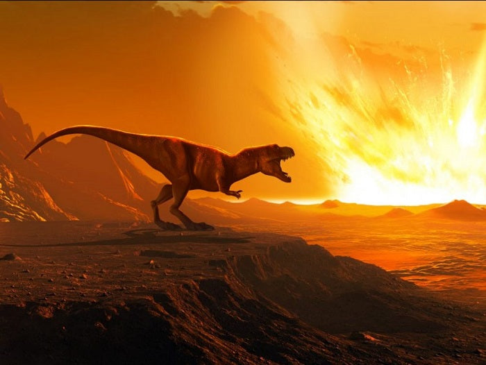 Combien de Tyrannosaurus rex ont-ils vécu sur Terre ?