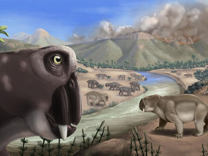 Extinction du Permien : la 'mère de toutes les extinctions' a été beaucoup plus longue sur terre que sur mer