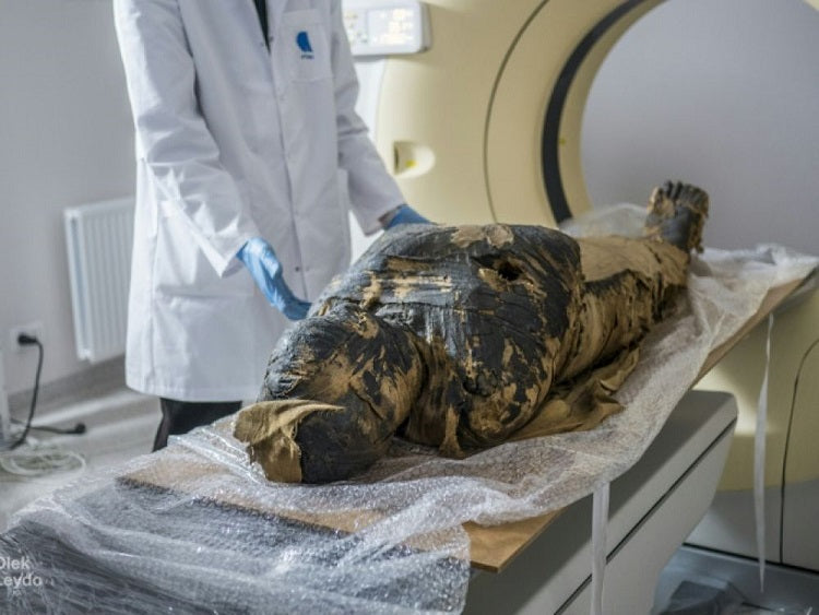 Des scientifiques ont découvert une momie égyptienne enceinte, le premier cas du genre au monde