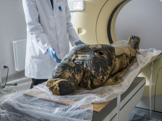 Des scientifiques ont découvert une momie égyptienne enceinte, le premier cas du genre au monde