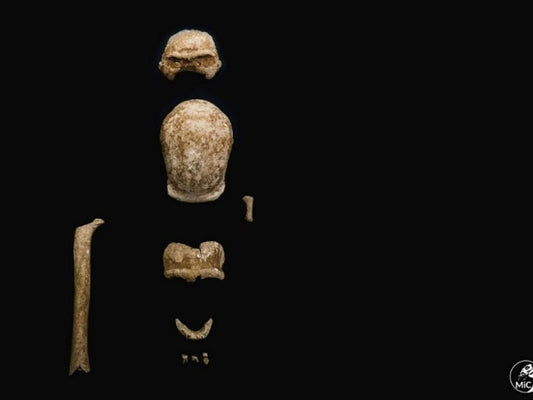 Les restes de neuf Néandertaliens trouvés dans une grotte en Italie