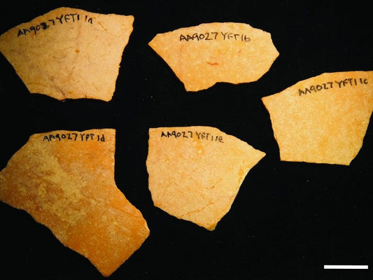 Des œufs d’autruche pour dater des sites archéologiques africains