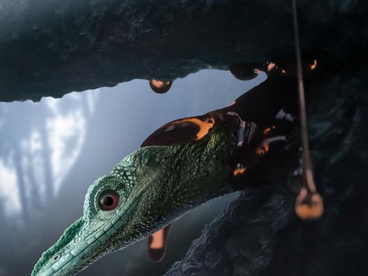 L’ambre révèle une nouvelle espèce de lézard datant de 99 millions d'années