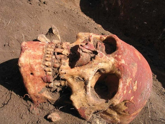 Qui sont les Yamnayas, peuple nomade qui a bousculé l'Europe il y a 5000 ans ?
